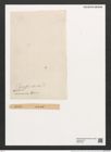 Fragilaria marmonorum Grun. (de-Toni-Nr.: Genus 73, Species 2745) Zeichnungen Sammlung Grunow (NHMW-BOT-W0374094)